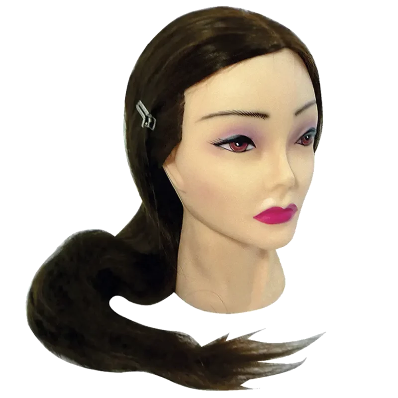 Cabezote para practica Provitaminico Inventage